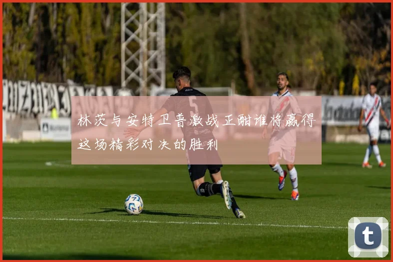 林茨与安特卫普激战正酣谁将赢得这场精彩对决的胜利
