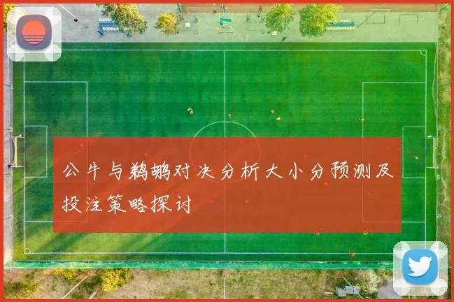 公牛与鹈鹕对决分析大小分预测及投注策略探讨