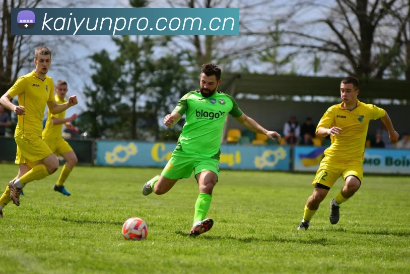 多媒体互动体验